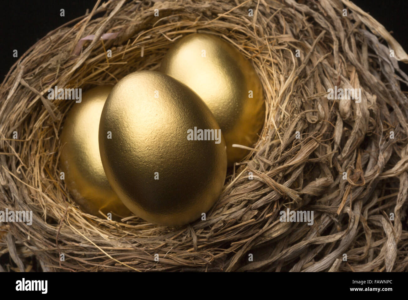 THREE GOLDEN EGGS IN BIRD NEST BLACK BACKGROUND Stock Photo - Alamy