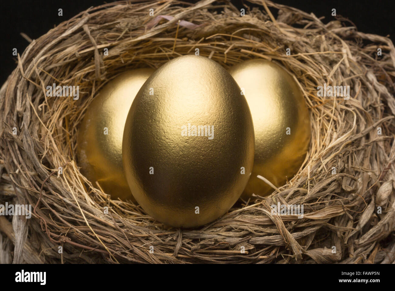 THREE GOLDEN EGGS IN BIRD NEST BLACK BACKGROUND Stock Photo - Alamy