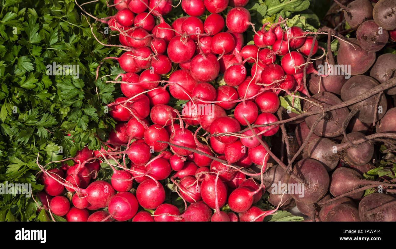Parsley, red radishes and beets at farmer's market; Rochester, Minnesota, United States of America Stock Photo