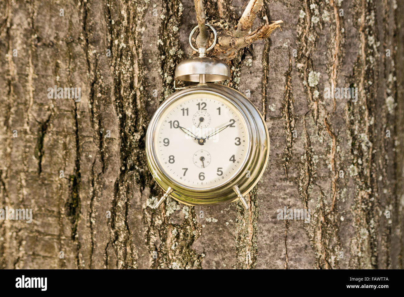 Time concept. Time is ticking. Old fashioned clock hanged on a tree