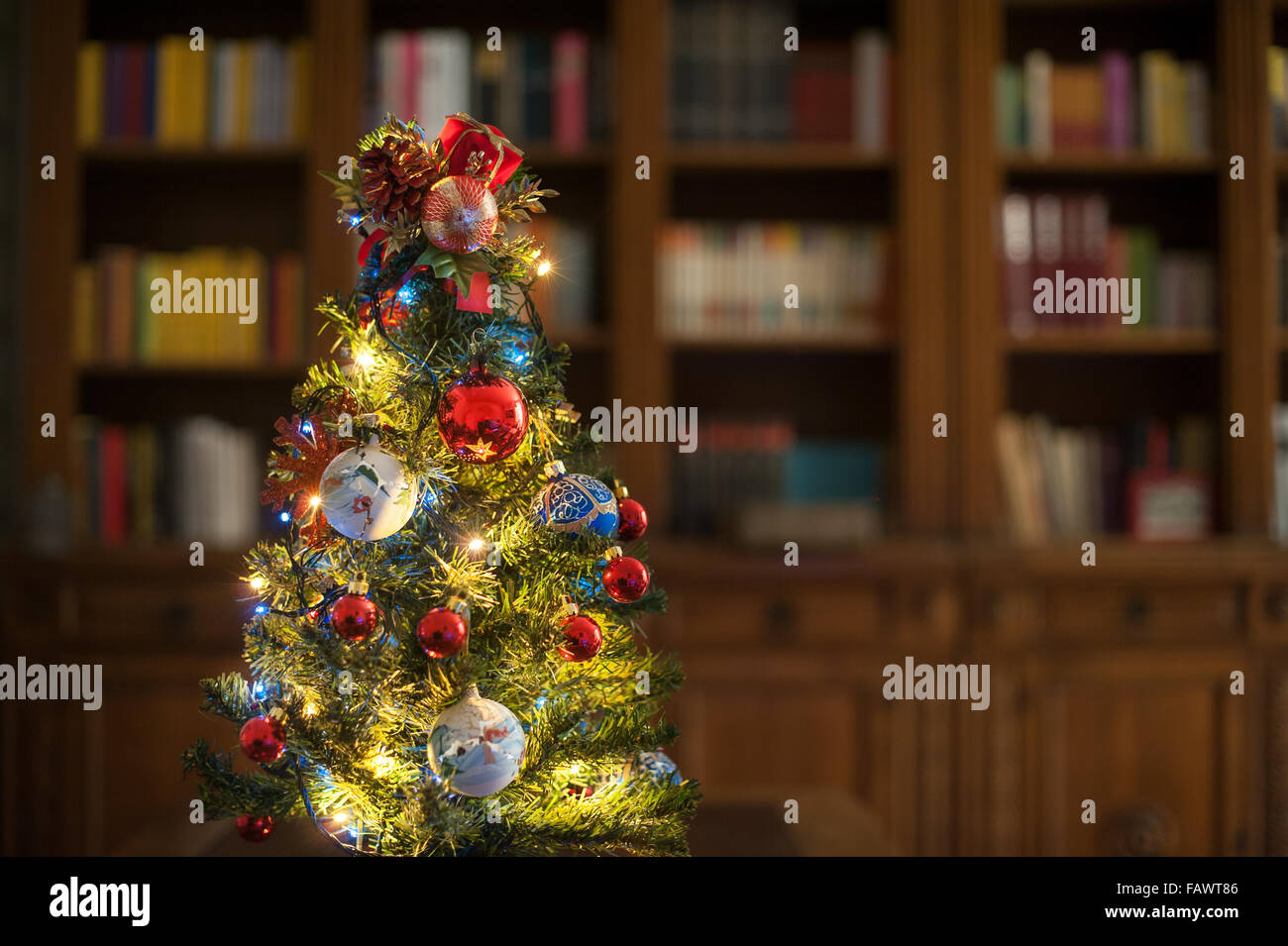 Christmas tree with lights in home living room with wooden library in