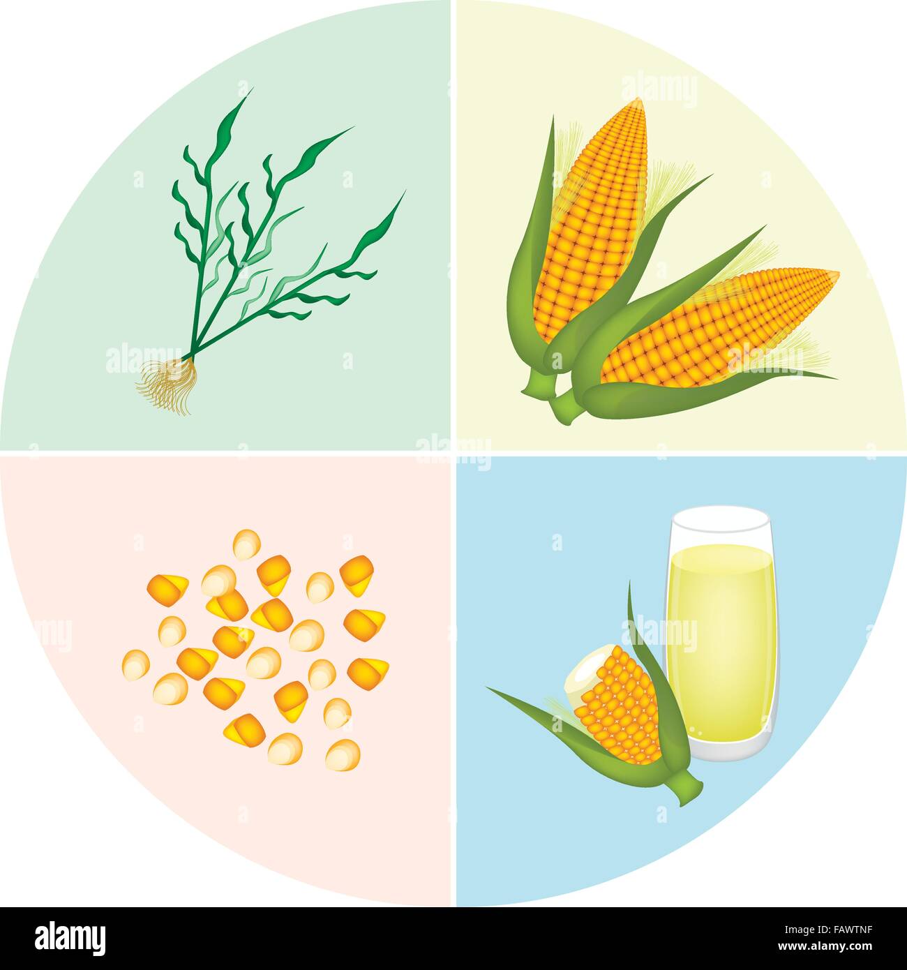 Silk processing Stock Vector Images Alamy