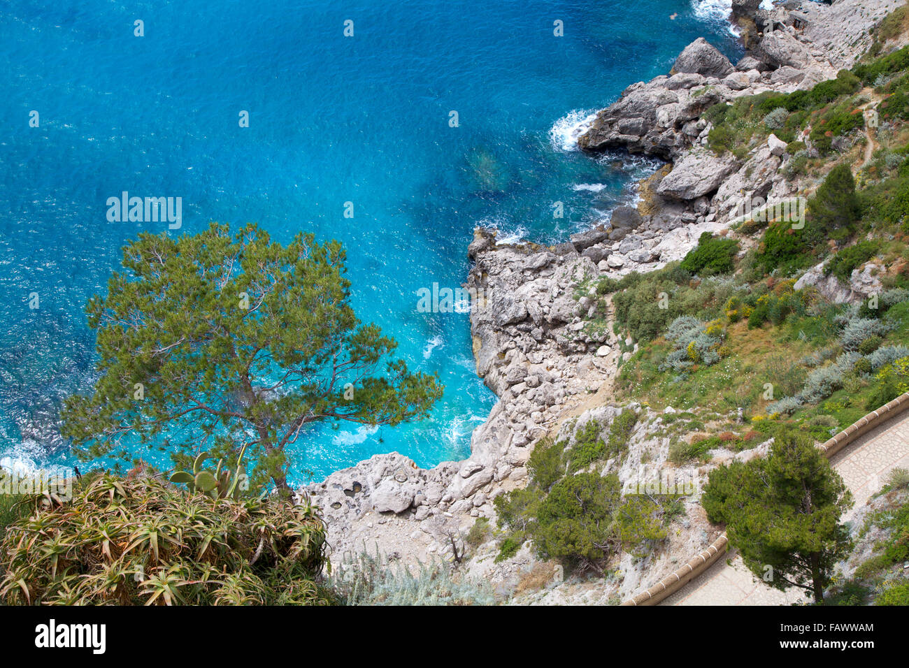 Capri Island, virgin landscape, Italy Stock Photo