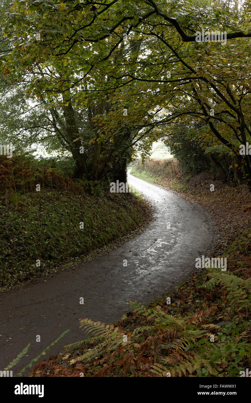 Coppermine Lane Bulkeley Cheshire England UK Stock Photo Alamy