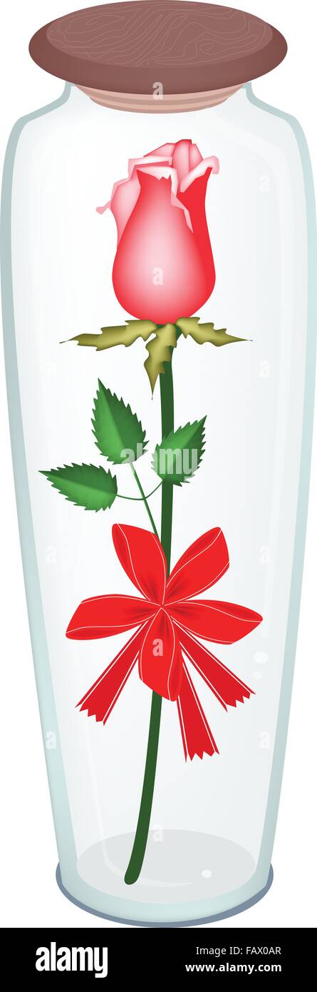 Beautiful Red Rose with Red Ribbon and Bow in A Tall Glass Jar, Flower Is A Perfect Romantic Gift or Present for Someone Special Stock Vector