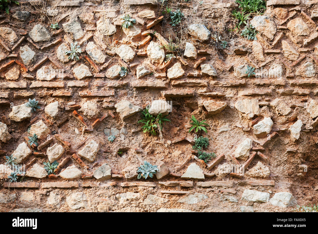 Old stone wall with plants growing on it; Delphi, Greece Stock Photo ...