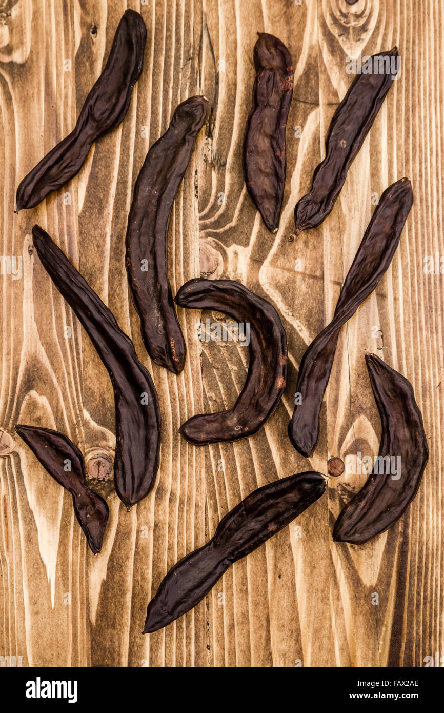 Group of dried carob pods, Ceratonia Siliqua, on wooden background