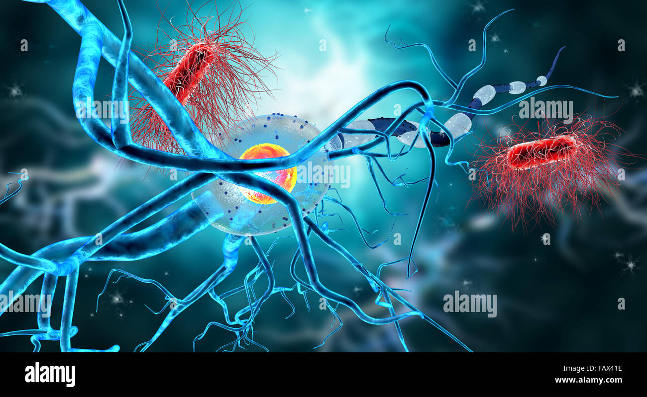 Nerve cells, concept for Neurologic Diseases, tumors and brain surgery. Stock Photo