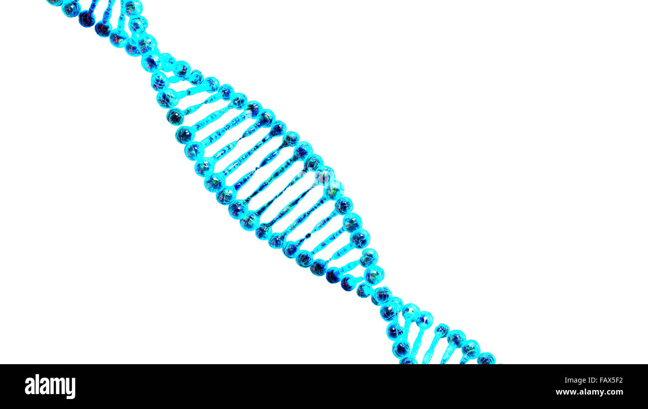 High resolution 3d render of human dna string Stock Photo - Alamy