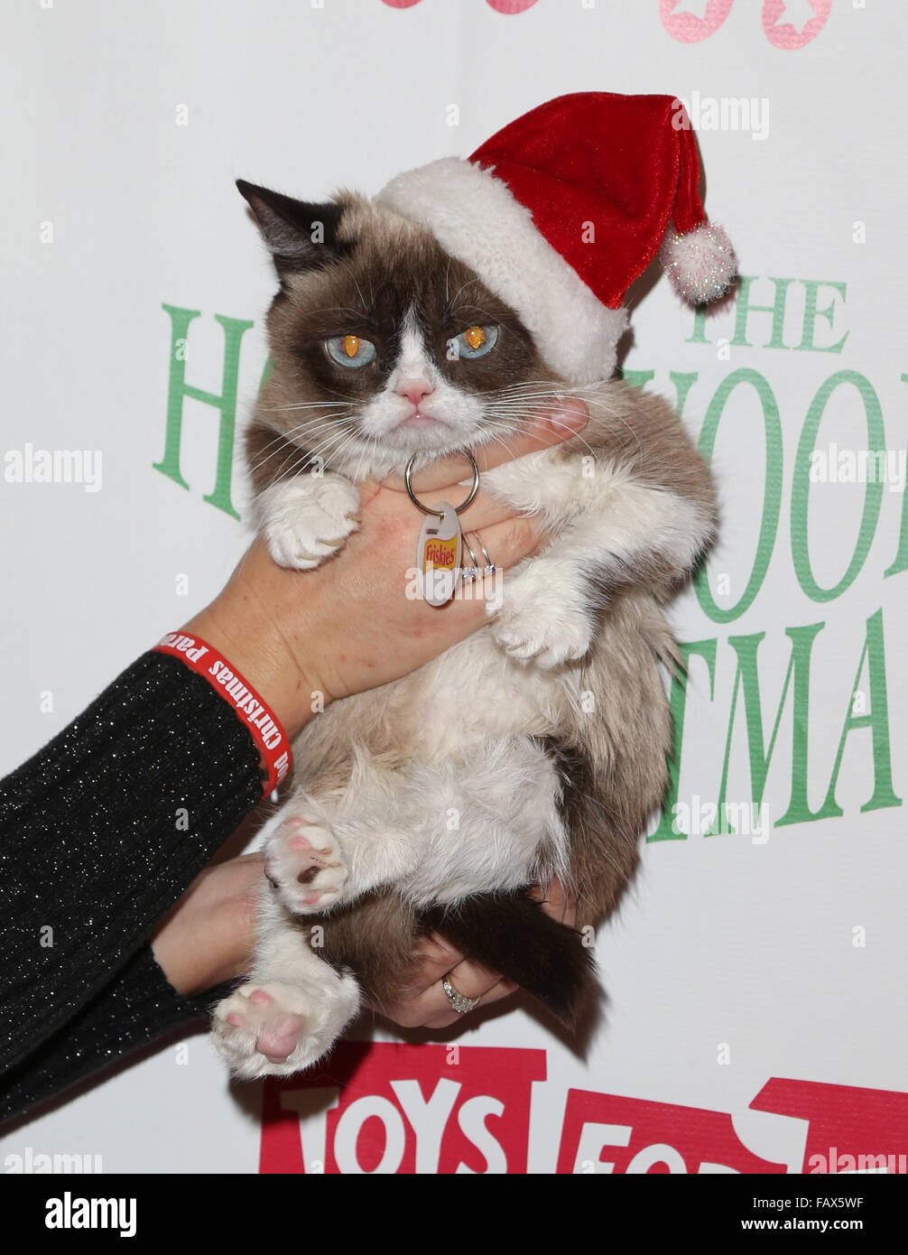 christmas grumpy cat