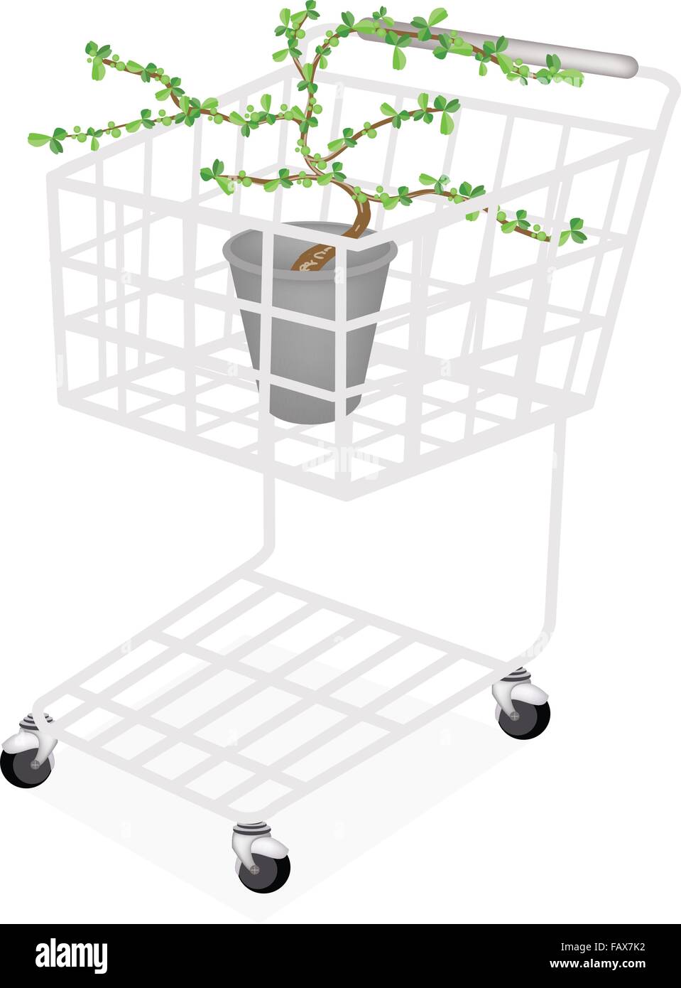 Bonsai Tree, A Shopping Cart Full with Carmona Retusa (Vahl) Masam Plant in A Flowerpot for Garden Decoration. Stock Vector