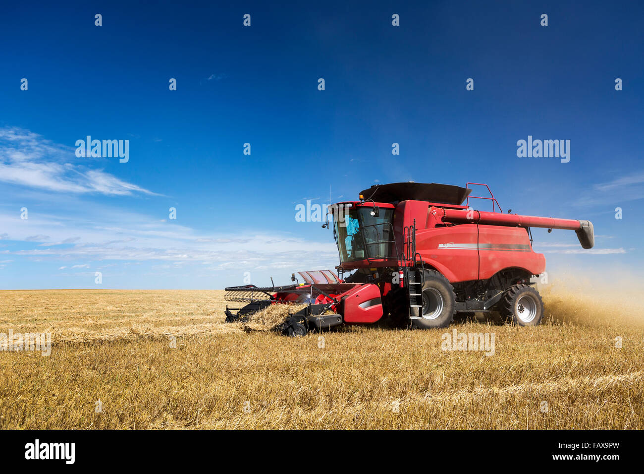 Combine harvesting rows of barley with blue sky and clouds; Acme