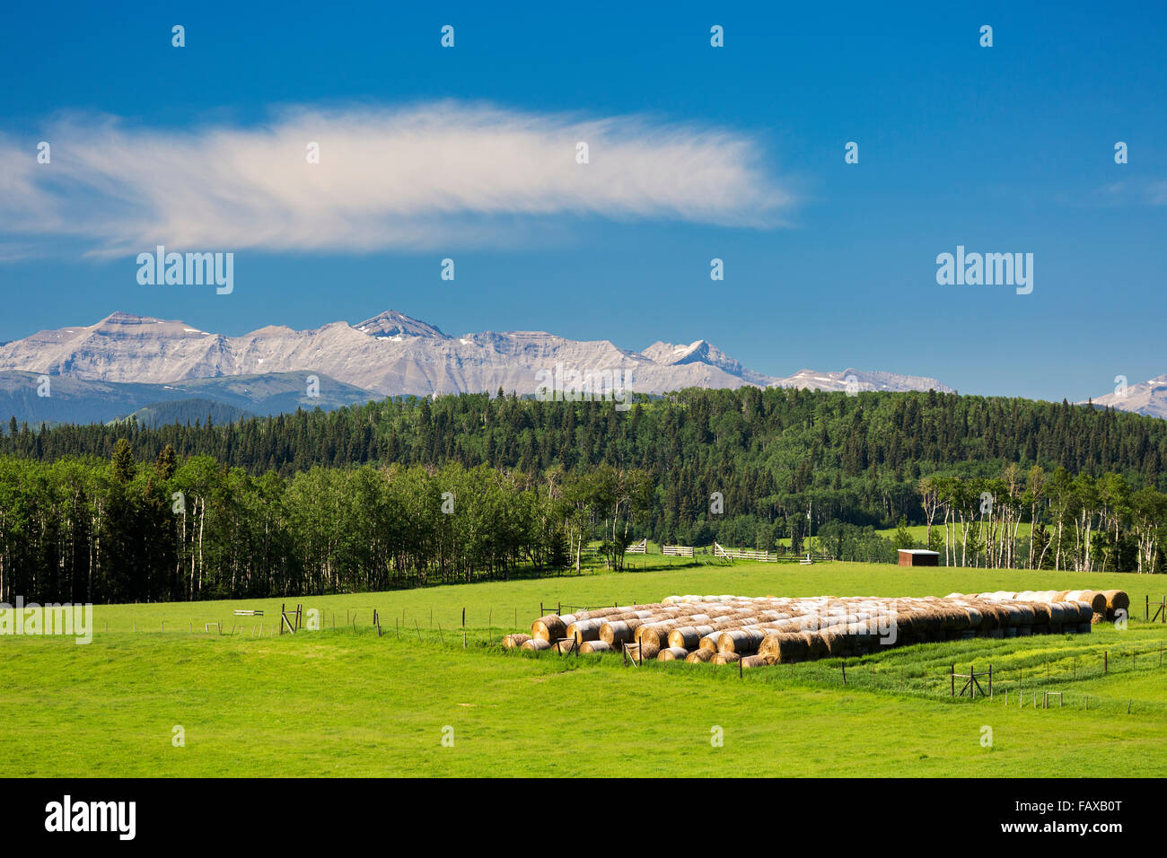 Rows of round hay bales in a field with trees covering rolling hills ...