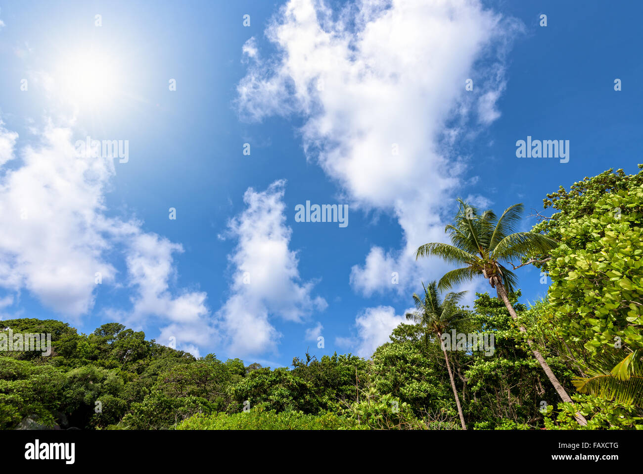 Beautiful high view blue sky cloud and sun during summer over palm tree on beach for background at Koh Similan Islands in Mu Ko Stock Photo
