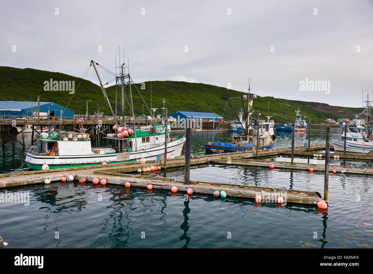 Fishing boats docked in the Sand Point Harbor, Sand Point, Southwestern Alaska, USA, Summer