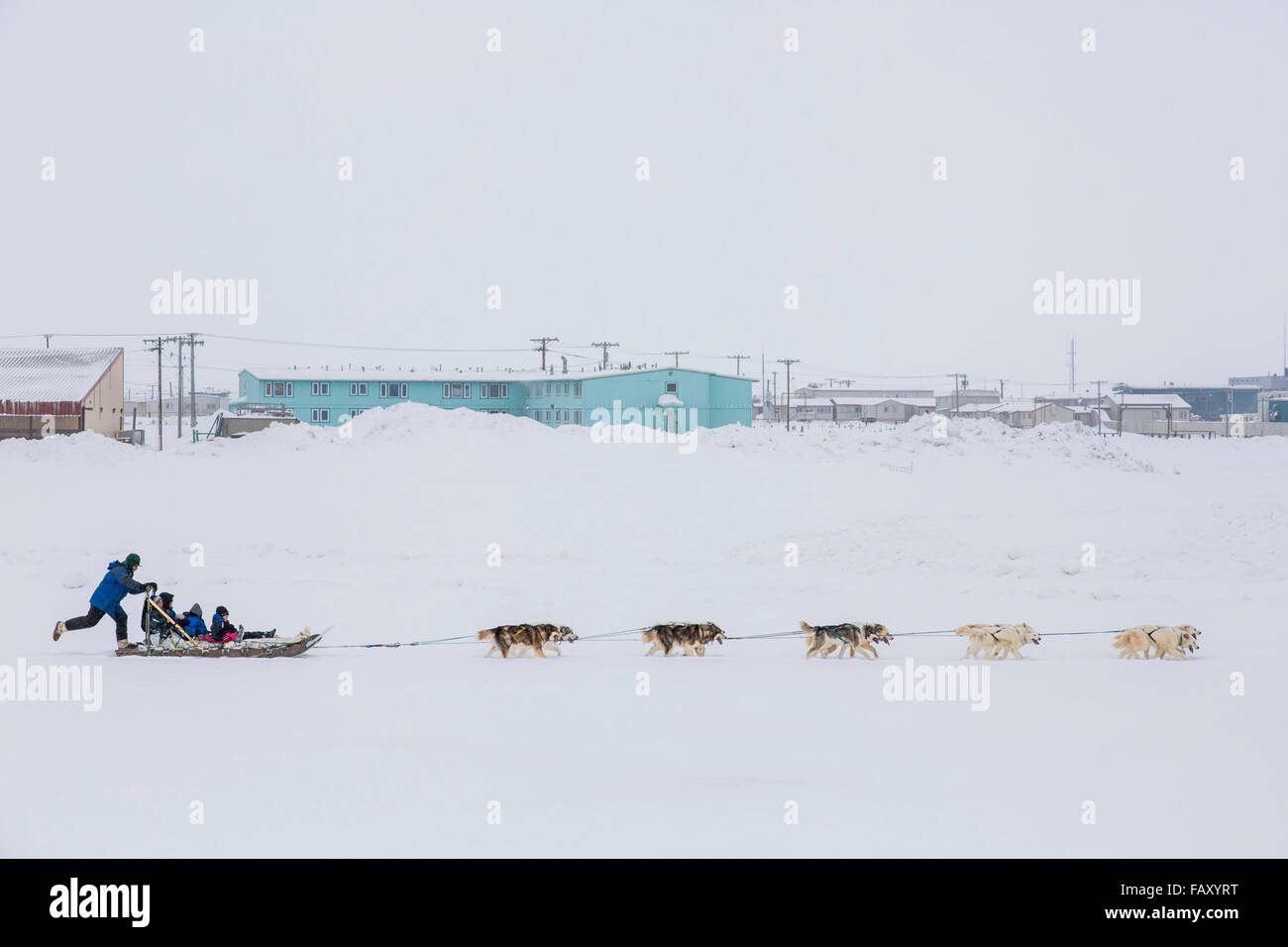 Elementary school children ride a sled pulled by sled dogs around the lagoon, Barrow, North Slope, Arctic Alaska, USA, Winter Stock Photo