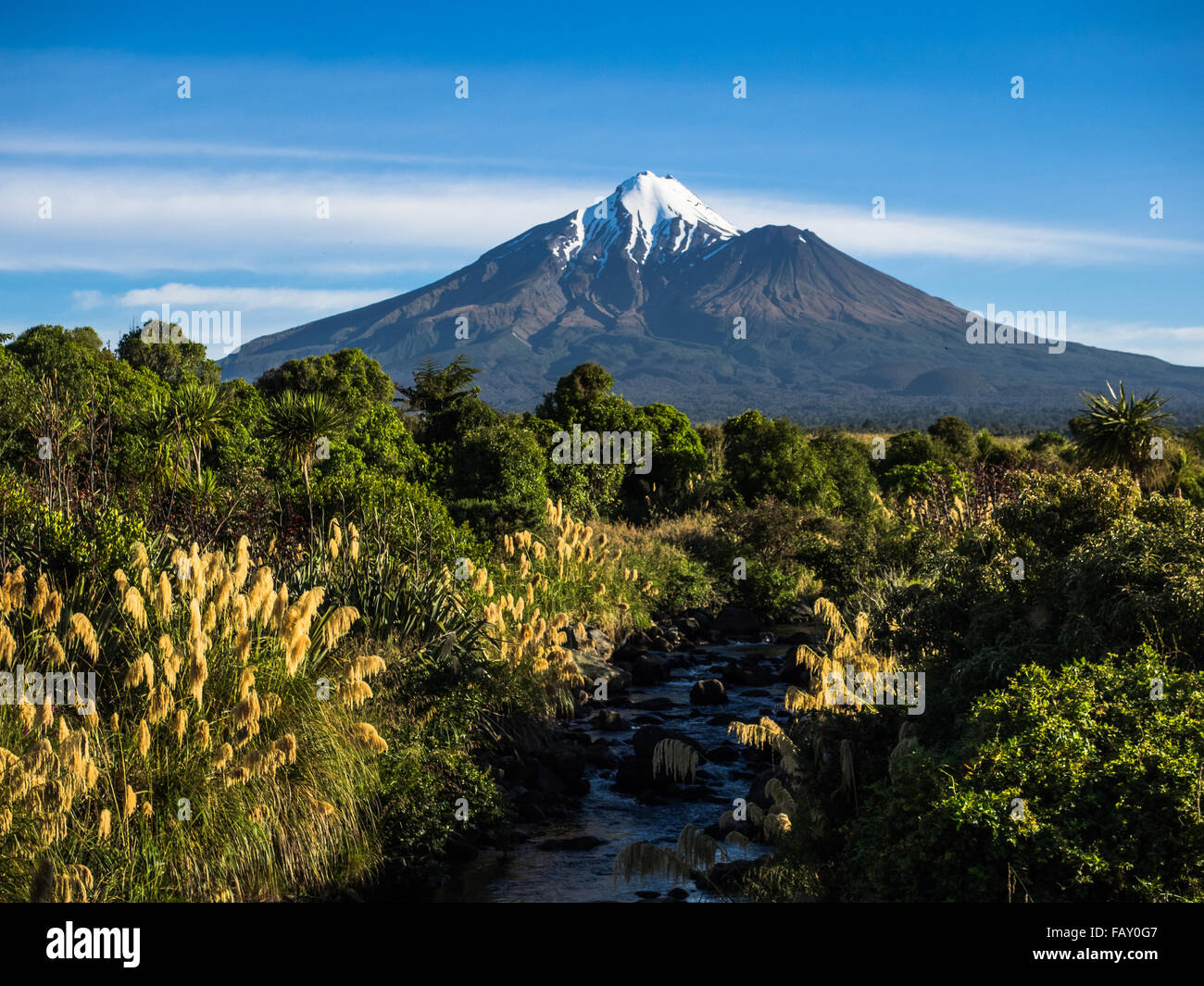 .Mount Taranaki from the south, looking up forest stream Stock Photo