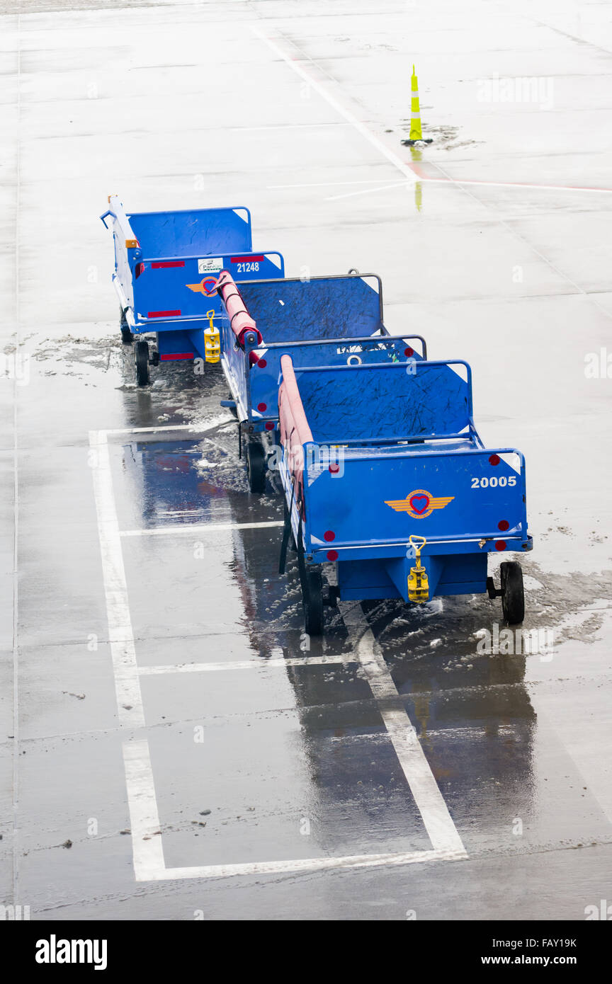Baggage carts standing empty during a snow storm at Denver International Airport, Denver Colorado Stock Photo