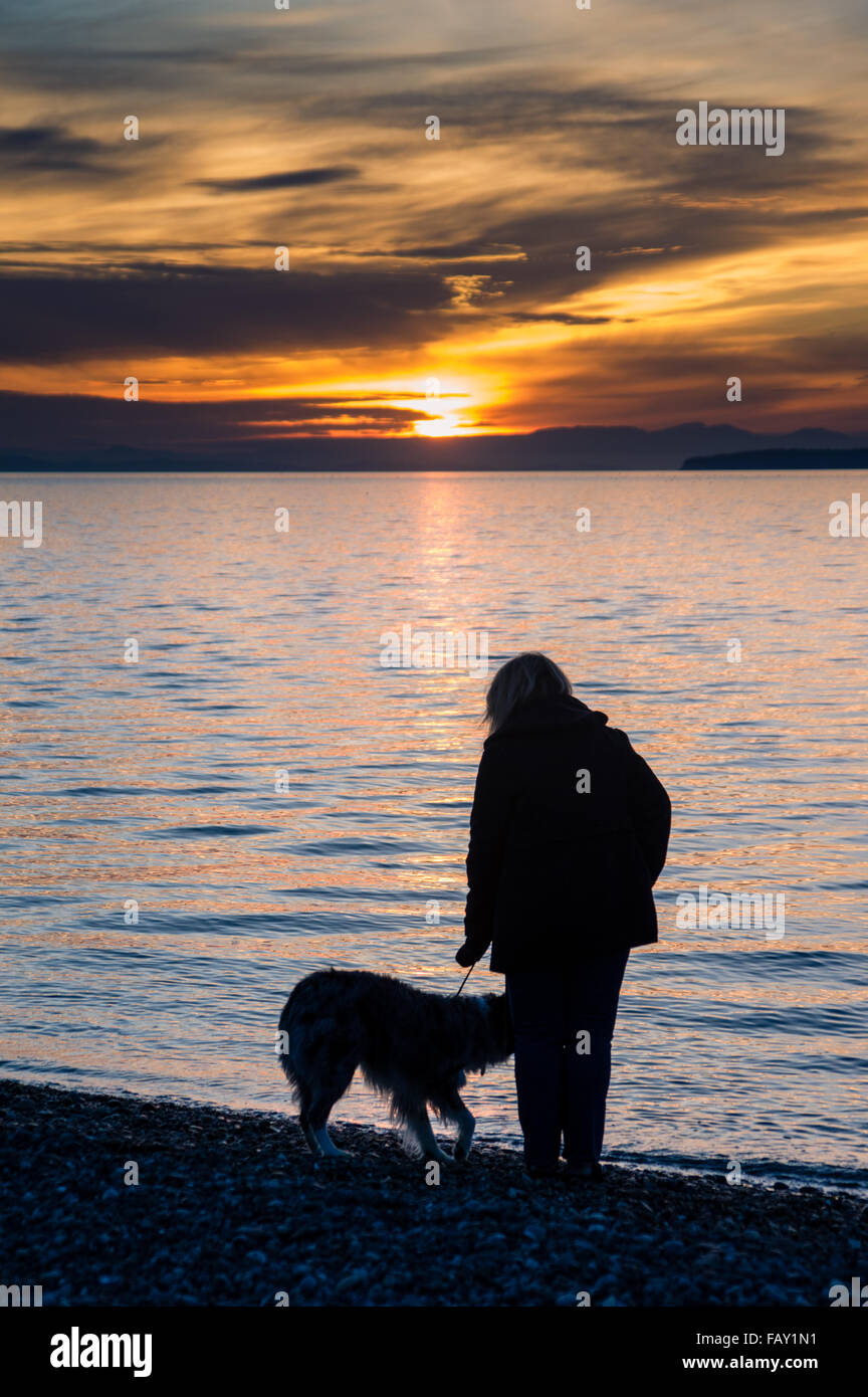 Woman walking her dog on the beach hi-res stock photography and images ...
