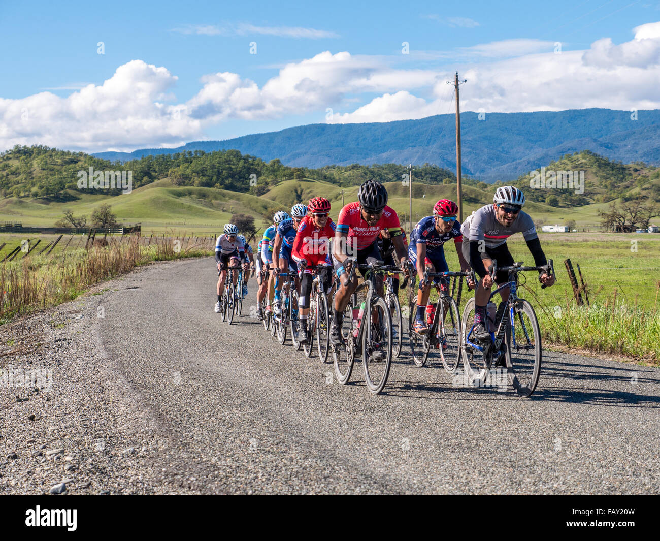 Cycling racing peloton hi-res stock photography and images - Alamy