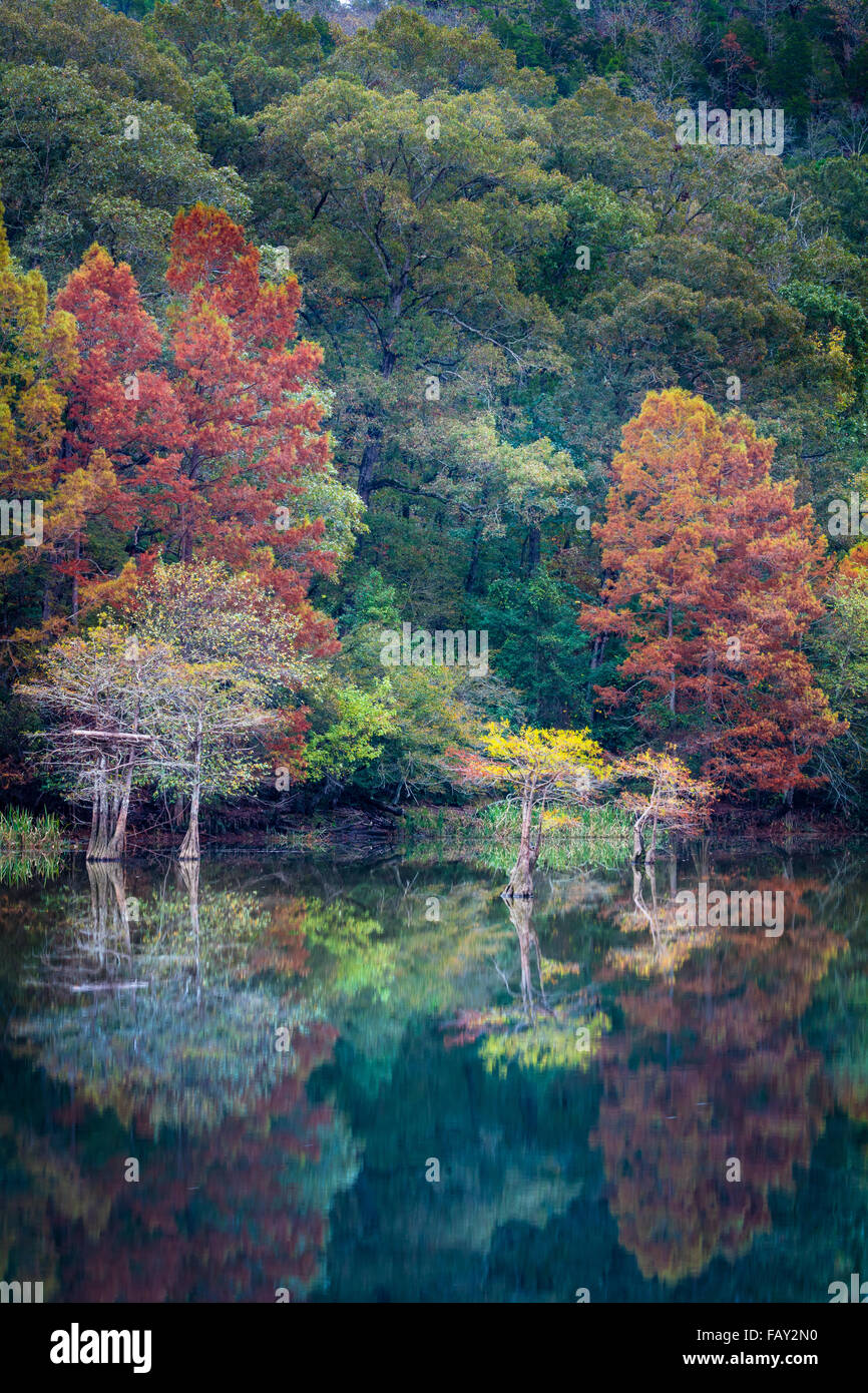 Beavers Bend State Park is a 1,300 acres state park located near Broken