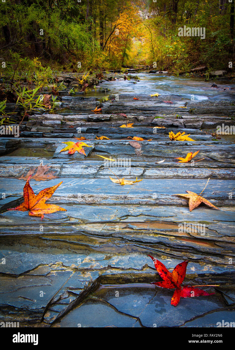 Beavers Bend State Park is a 1,300 acres state park located near Broken