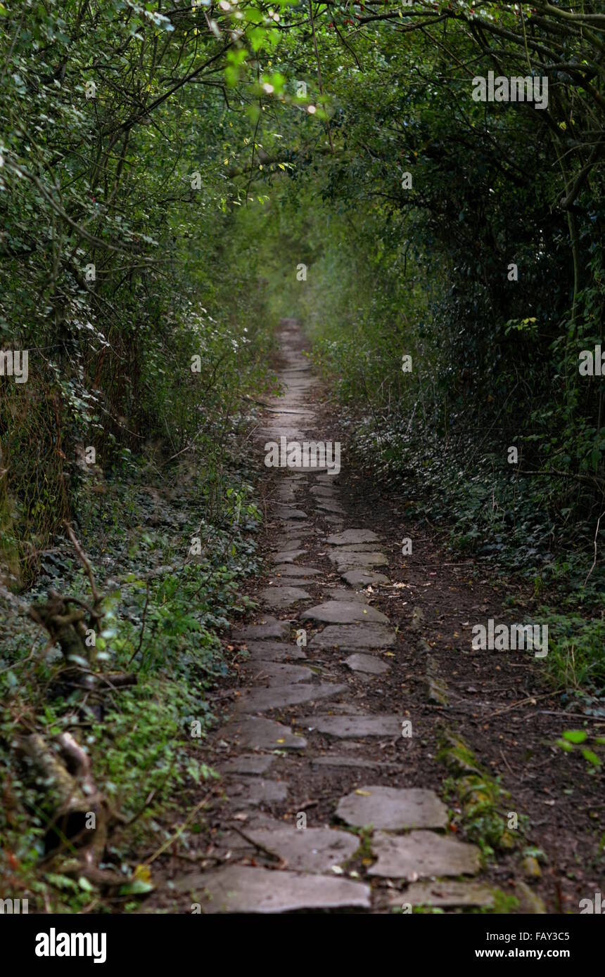 An old stone footpath in the countryside, England Stock Photo