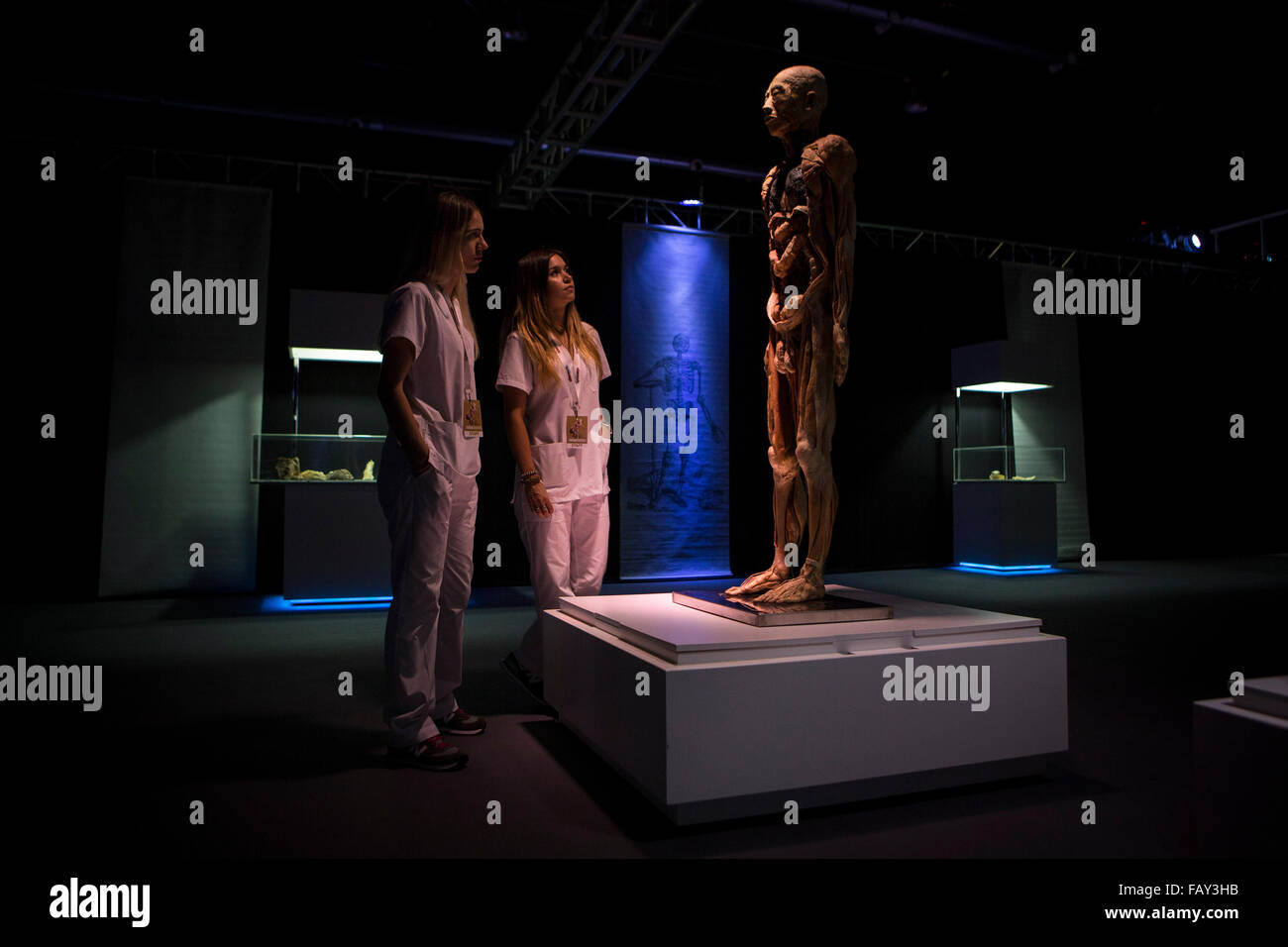 Buenos Aires, Argentina. 5th Jan, 2016. People visit the 'Human Bodies' exhibition in Buenos Aires, Argentina, on Jan. 5, 2016. © Martin Zabala/Xinhua/Alamy Live News Stock Photo
