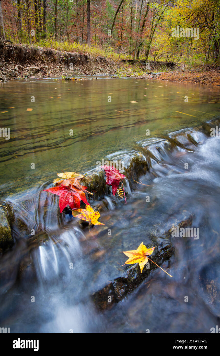 Beavers Bend State Park is a 1,300 acres state park located near Broken
