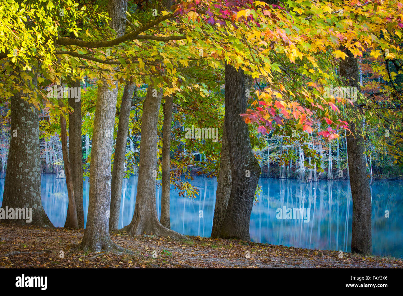 Beavers Bend State Park is a 1,300 acres state park located near Broken