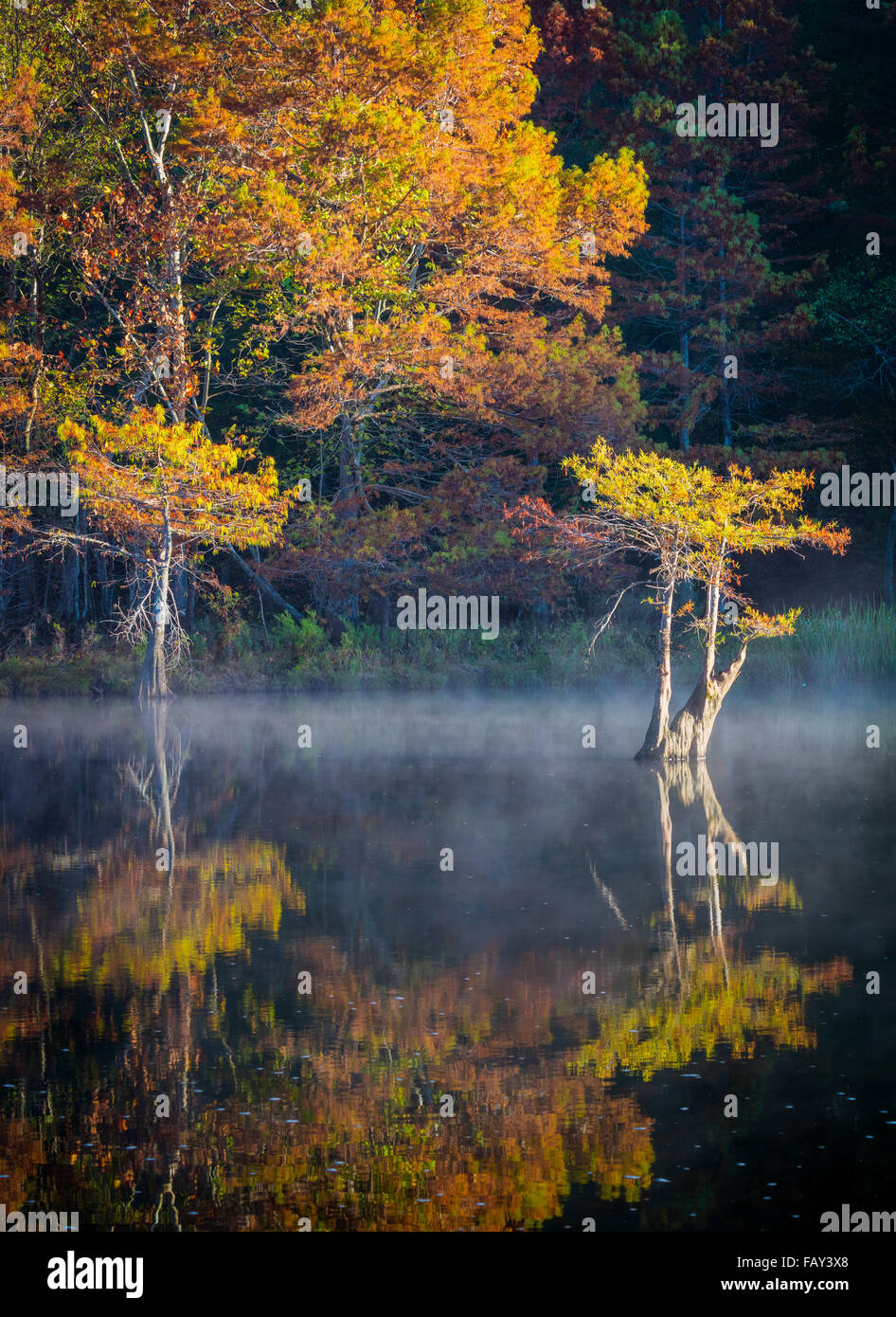 Beavers Bend State Park is a 1,300 acres state park located near Broken Bow, Oklahoma Stock Photo