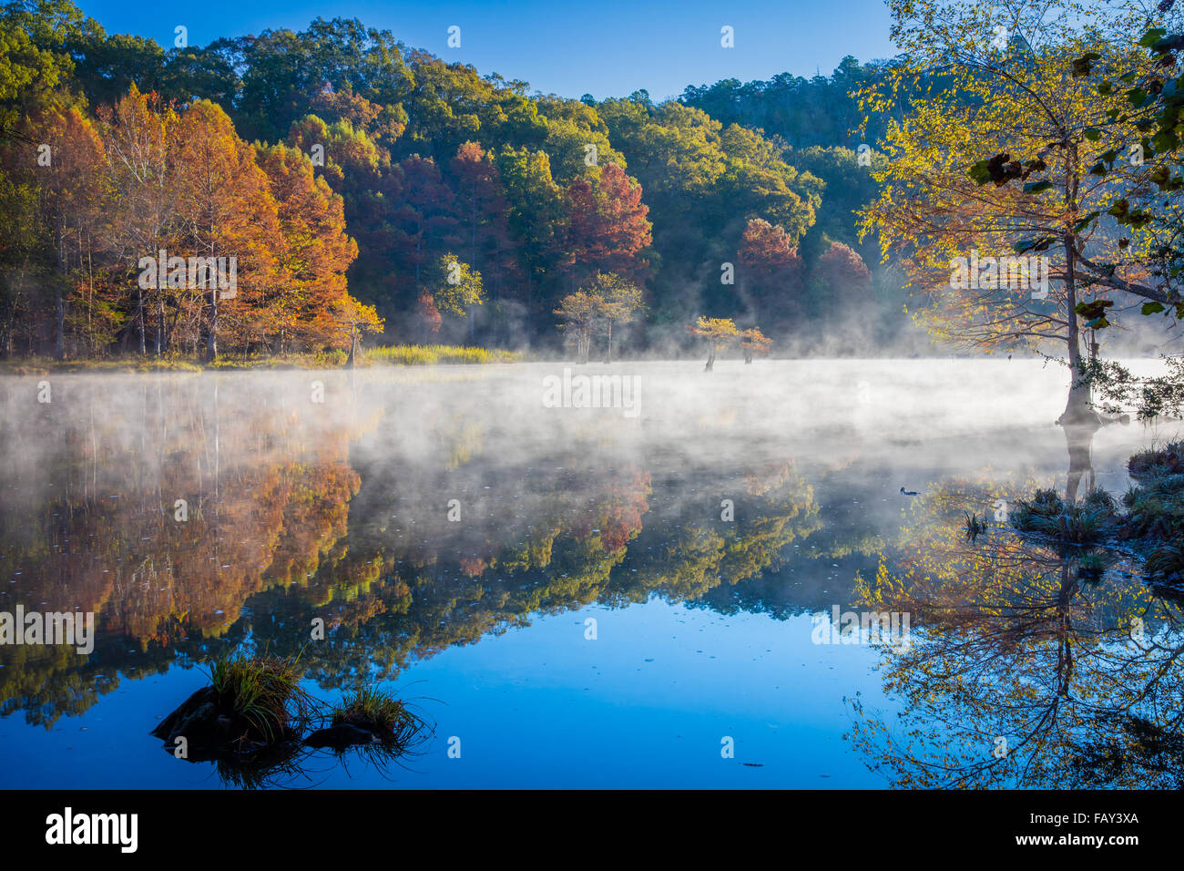 Beavers Bend State Park is a 1,300 acres state park located near Broken Bow, Oklahoma Stock Photo