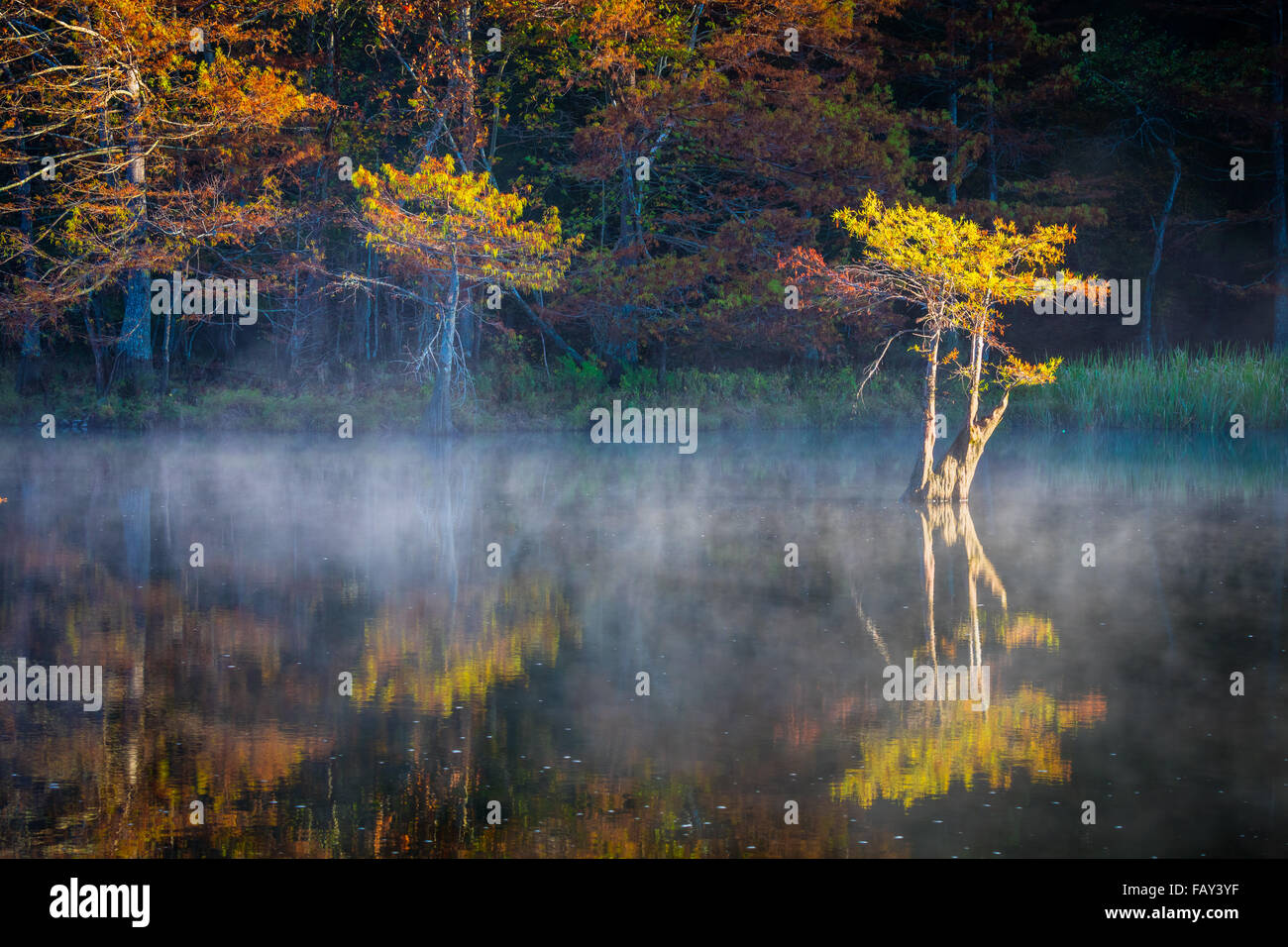 Beavers Bend State Park is a 1,300 acres state park located near Broken