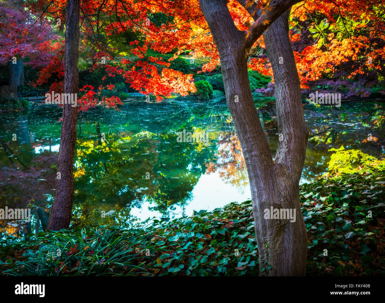 The Fort Worth Japanese Garden is a 7.5-acre Japanese Garden in the Fort Worth (Texas) Botanic Garden Stock Photo