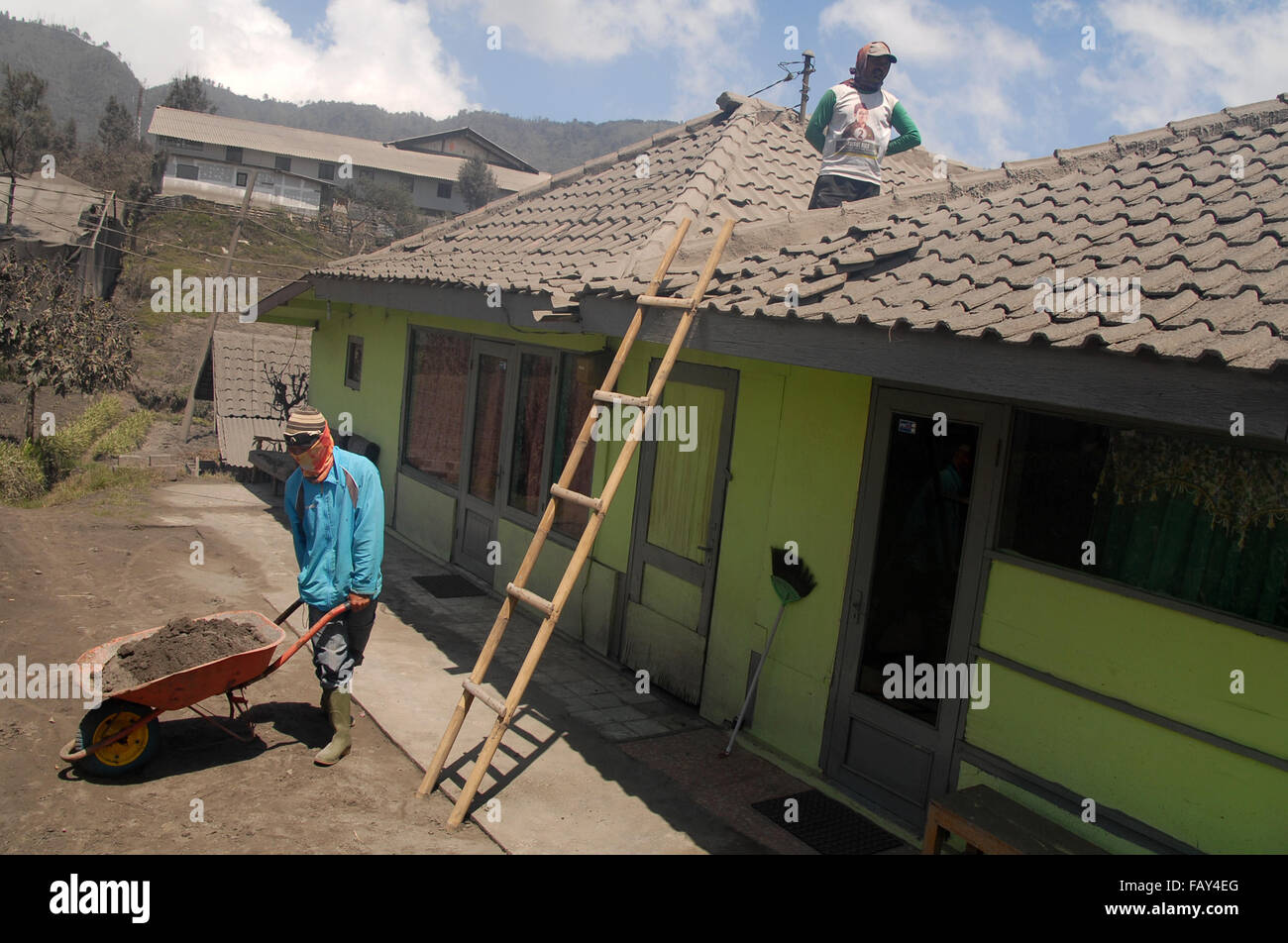 Probolinggo, Indonesia. 05th Jan, 2016. Residents clean the roofs of volcanic ash of Mount Bromo, Cemoro Lawang, Sukapura, Probolinggo. The Center for Volcanology and Geological Hazard Mitigation (PVMG) giving the alert status one month ago. The mount Bromo suffered vulcanic type A total of 19 and volcanic type B as much as 7 data obtained from reports every 6 hours. Credit:  Adhitya Hendra/Pacific Press/Alamy Live News Stock Photo