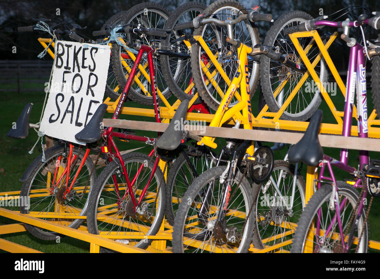 royal baby bike