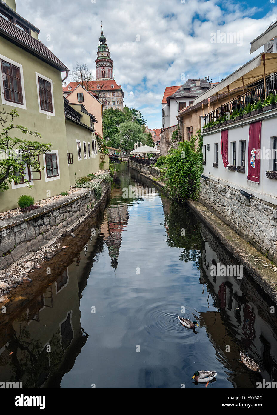 Cesky Krumlov - the pearl of the South Bohemia region. Live ducks in the water of a narrow channel in the center of the city. Stock Photo
