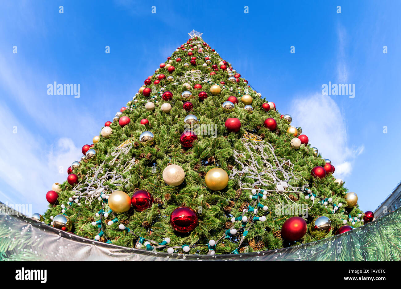 Christmas tree against the blue sky background Stock Photo - Alamy
