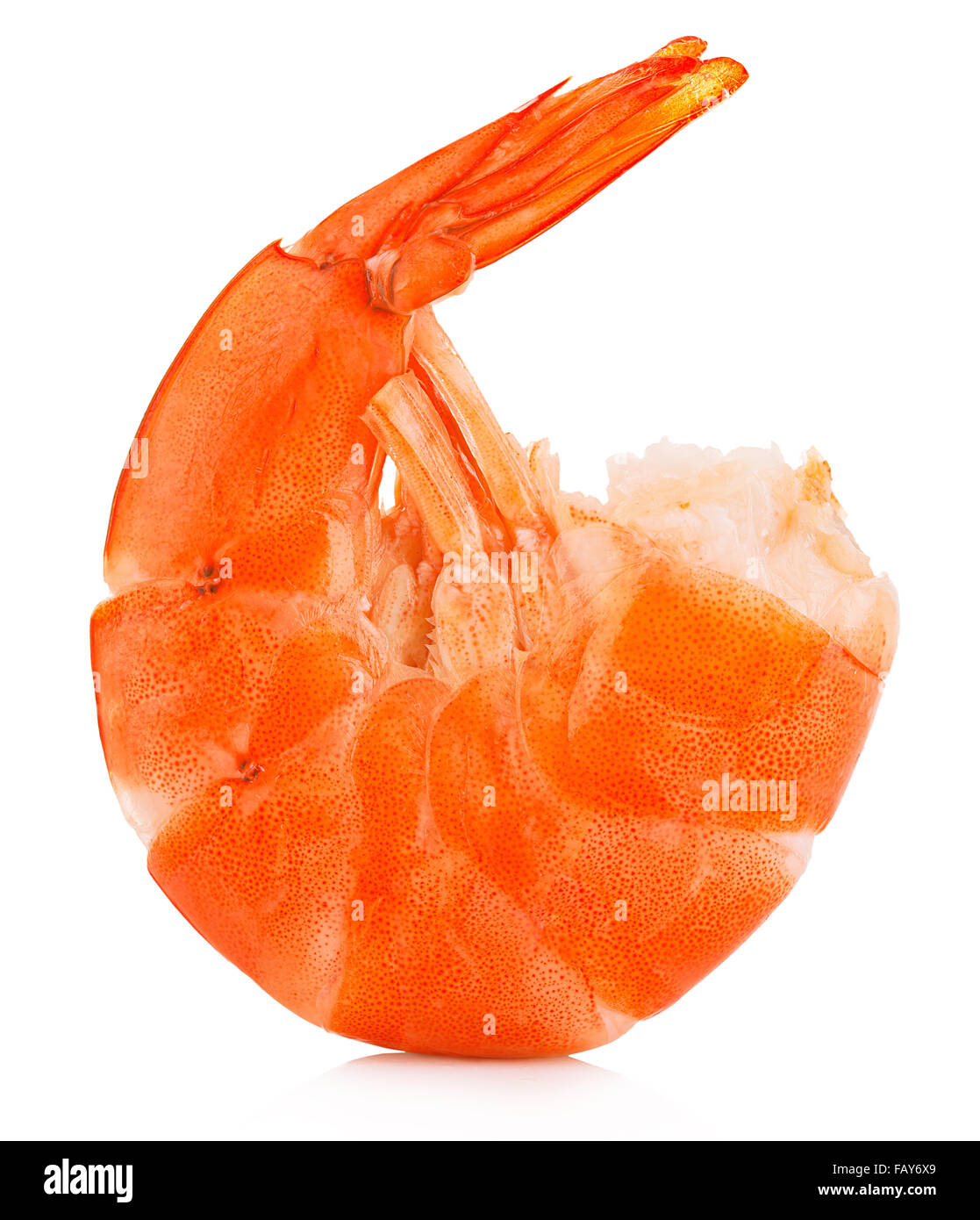 Tiger shrimp. Prawn isolated on a white background. Seafood Stock Photo