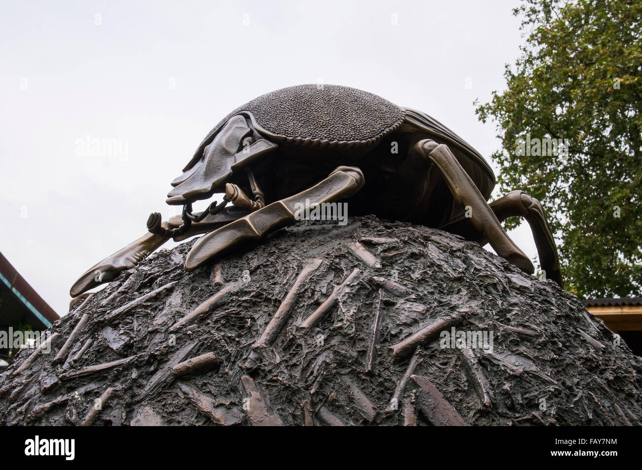 Dung beetle statue, Scarabaeus sacer, insect Stock Photo
