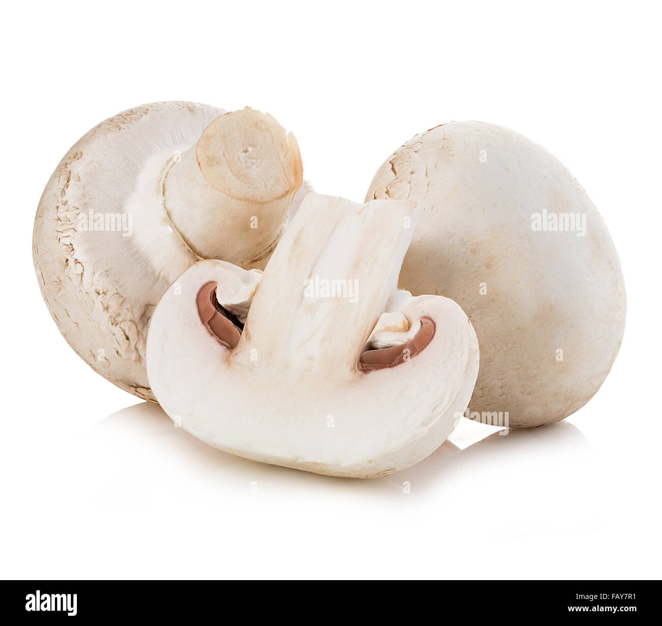 Champignon mushrooms close-up isolated on a white background Stock ...