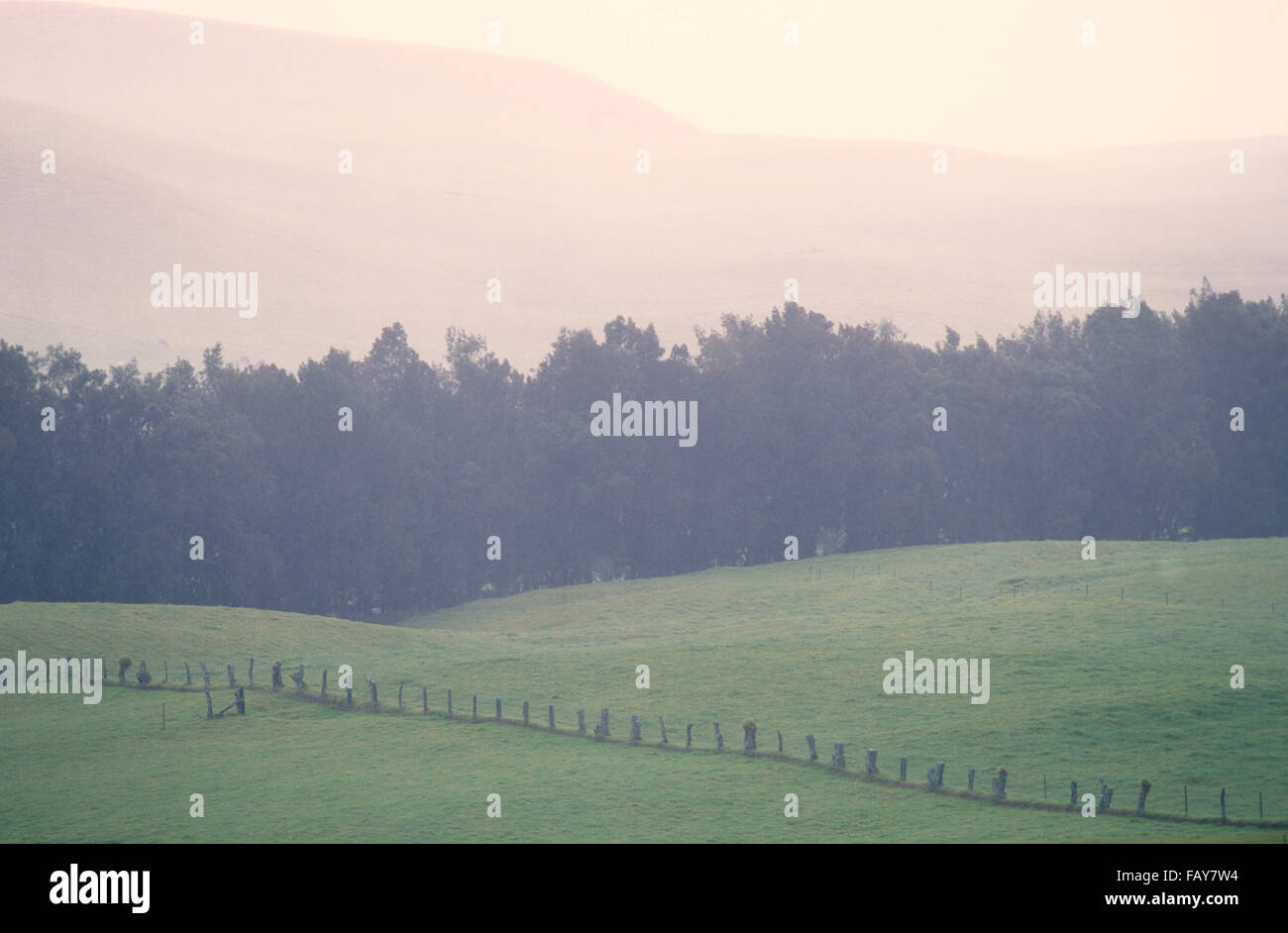 Cattle ranching hawaii hires stock photography and images Alamy