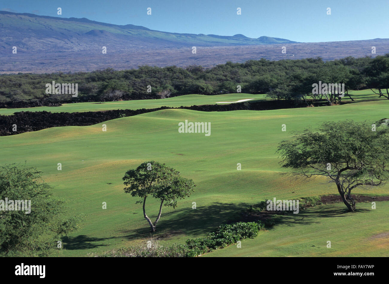 Big Island, Hawaii, Mauna Lani Resort North Course, Francis Brown Stock Big Island, Hawaii, Mauna Lani Resort North Course, Francis Brown Stock