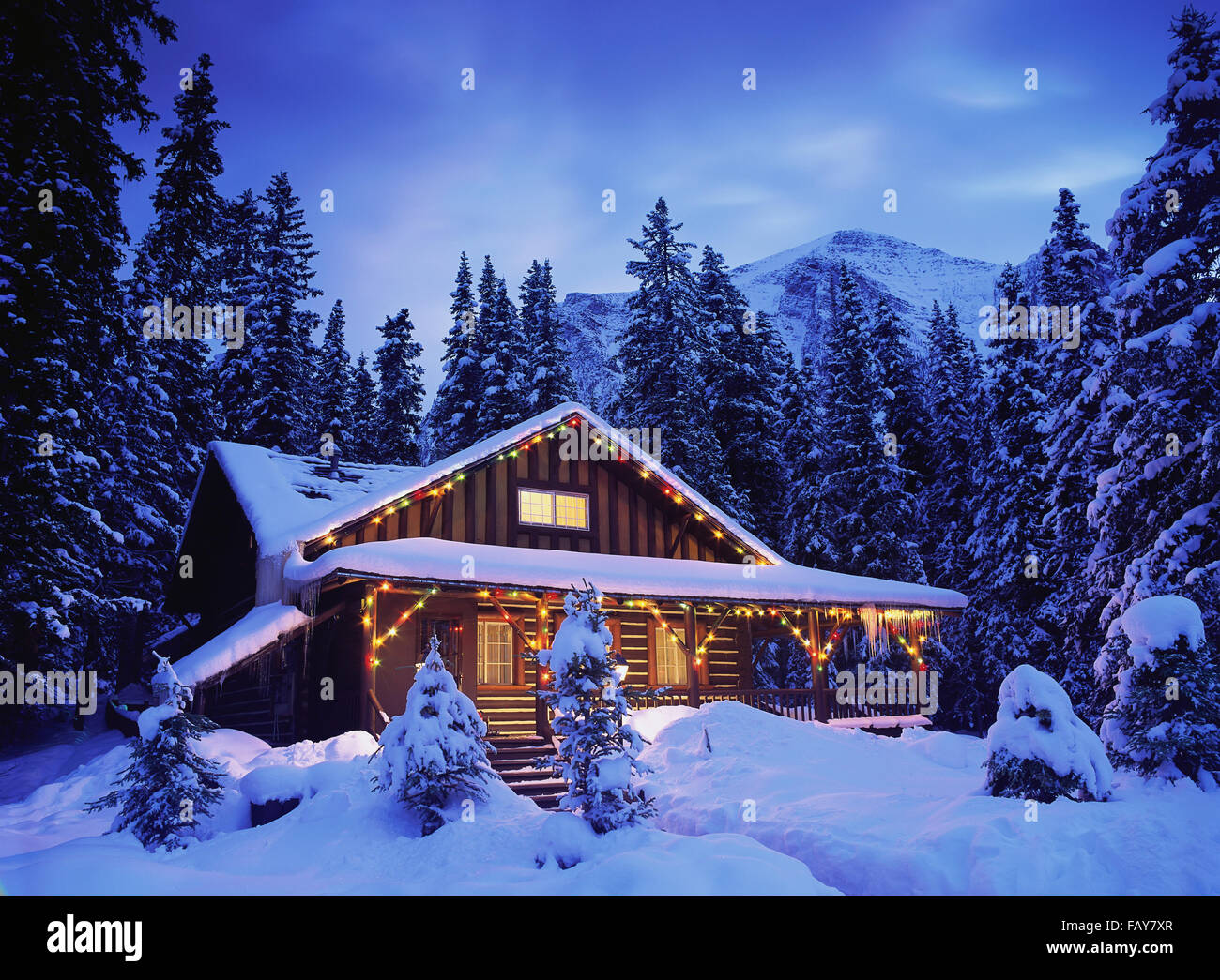 Cabin in the woods illuminated by Christmas lights Stock Photo Alamy