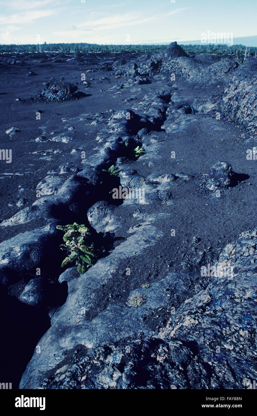 Fault line hires stock photography and images Alamy