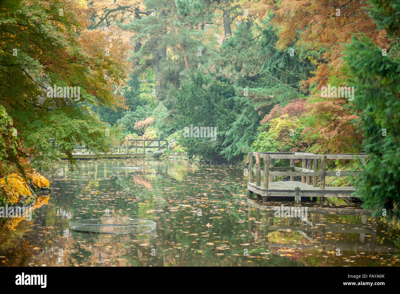 A tranquil pond surrounded by colorful autumn trees Stock Photo