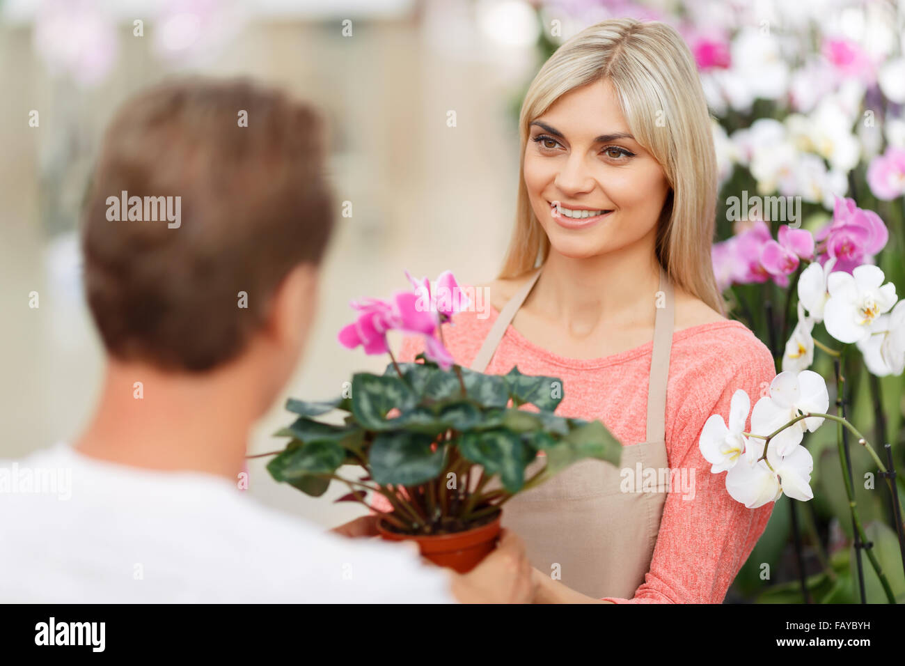 Professional florist selling flowers Stock Photo Alamy