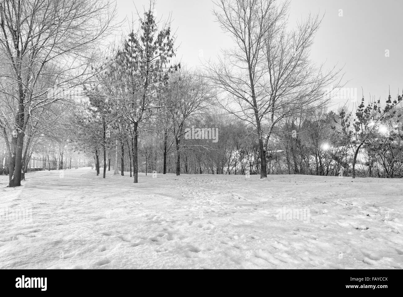 black and white winter landscape Stock Photo