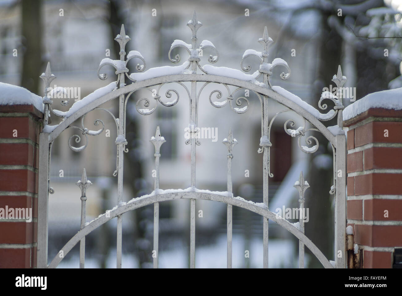 Old ornamental iron fence covered with snow Stock Photo - Alamy