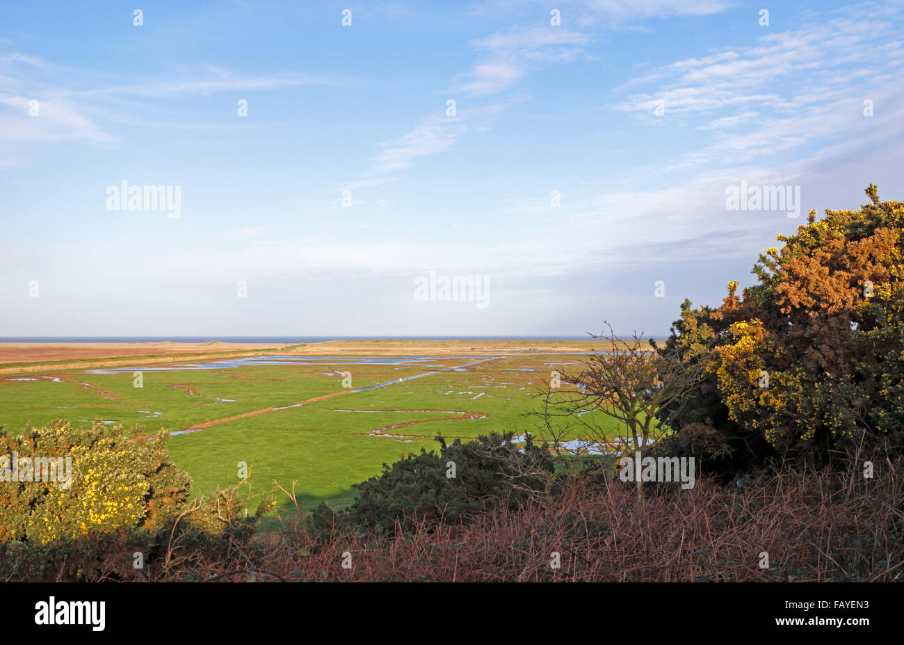 A view of the salt marshes and shingle ridge from Walsey Hills at Salthouse, Norfolk, England, United Kingdom. Stock Photo